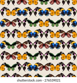 Seamless colorful background made of different butterflies in flat simple design