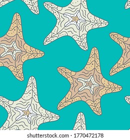 Impresionante patrón colorido dibujado a mano con estrellas del mar. Ilustración del vector marino de verano.