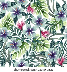 Seamless colorful pattern with tropical plants and flowers on a white background