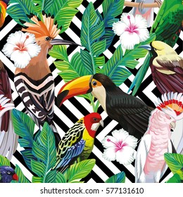 Seamless a composition of tropical bird toucan, parrot, hoopoe and palm leaves with white hibiscus flowers on black white geometric background