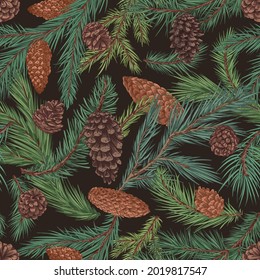 Seamless coniferous pattern with fir and spruce tree branches and cones on black background. Repeatable conifer texture in vintage style. Endless botanical backdrop. Colored drawn vector illustration