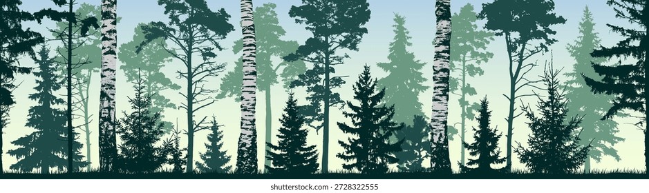 Fundo de floresta de inverno de coníferas sem costura. Pinho, abeto, abeto, árvore de natal. Árvores e bétulas diversas criando uma floresta em camadas. Ilustração de vetor de silhueta