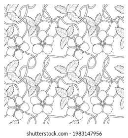 Seamless contour pattern of flowers and leaves of strawberry for coloring. Decorative floral elements.