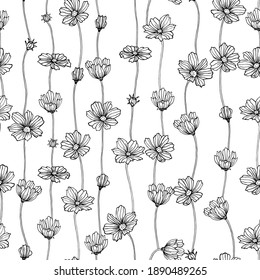 Seamless cosmos floral botanical flowers. Wild spring isolated. Black and white engraved ink art. Seamless background pattern. Element design for fabric and wrapping paper.