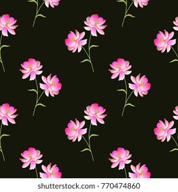 Seamless cosmos flowers pattern on black background in vector.