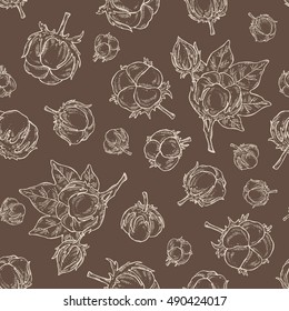Seamless with cotton. hand drawn