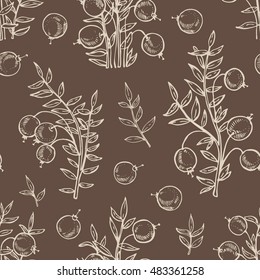 Seamless with cranberry . hand drawn
