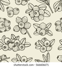 Seamless with cranberry. hand drawn vector illustration