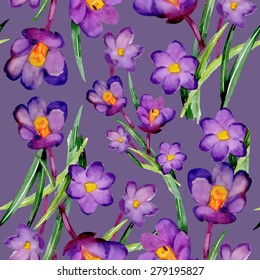 Seamless crocus floral pattern on purple background with summer garden flowers, watercolor vector illustration