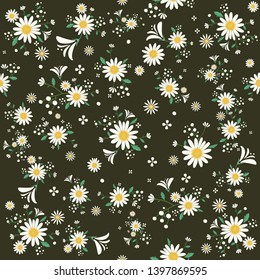 Seamless daisy floral pattern in dark background, Beautiful daisy floral, bloomy plant grass decor, illustration - Vector