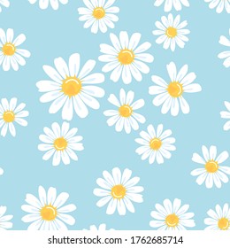 Seamless of daisy flower on pastel blue background vector illustration. Cute floral pattern.