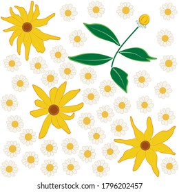 Seamless daisy flower pattern isolated on white background. Trendy fabric pattern with big yellow and small cute wild simple chamomiles. Use pattern or each element separately. For textile, wallpaper.