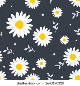 Seamless Of Daisy Flower Pattern On Background Vector Illustration.