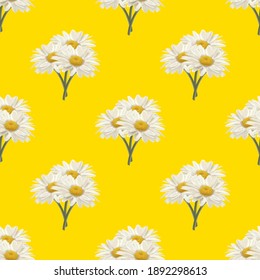 seamless daisy pattern and background vector illustration