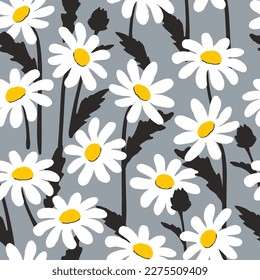 Seamless daisy pattern. Vector floral background with white chamomiles