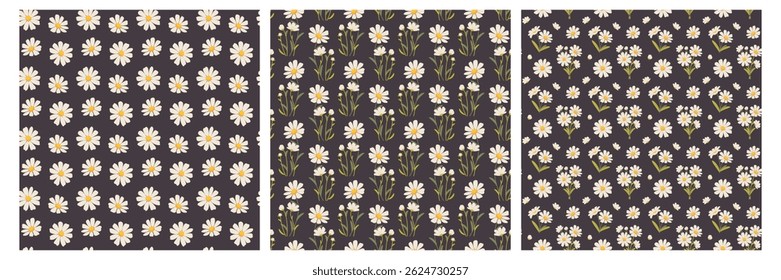 Seamless Daisy Patterns. Ornament with daisies for fabric swatches, scrapbooking, printing. Vector botanical pattern