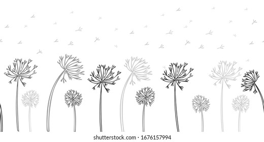 Seamless dandelion pattern, horizontal background with hand drawn plants and seeds. Vector illustration for banner, card, kitchen design
