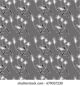 Seamless dandelion pattern, seeds illustration on grey background