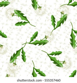 Seamless dandelion pattern. Vector seamless dandelion pattern background with hand drawn plants and seeds. Summer flower natural season beautiful blowing garden botany floral.