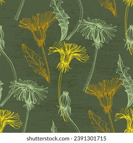 Seamless dandelion pattern, vector plant.