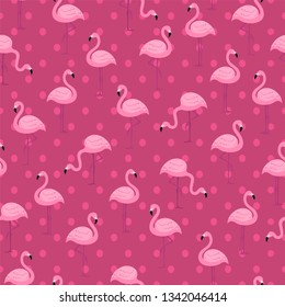 Seamless dark background with image of flamingos.Vector illustration