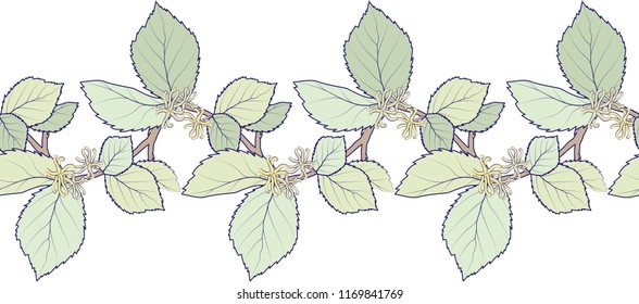 Seamless decorative border composed of Hamamelis branches with leaves