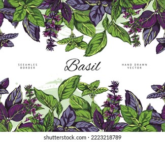 Seamless decorative border or frame design with basil aromatic cooking herb, sketch hand drawn vector illustration isolated on white background. Basil endless border.