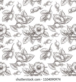 Seamless decorative pattern with herbs. Vector illustration with dog rose