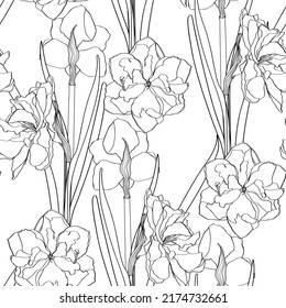 Seamless delicate pattern with spring line flowers. Bright spring  daffodils illustration.