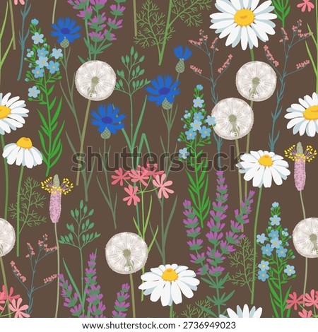 Seamless delicate wildflower meadow pattern on dark brown background, soft botanical illustration with daisies dandelions herbs and field flowers for textile design