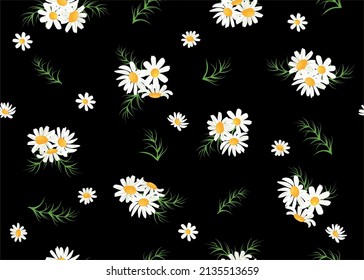 Seamless Design of Daisy Flowers, Vector Design