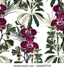 Seamless design pattern arranged with orchids flower, exotic leaves and palms. Beautiful floral print. White background.