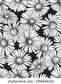 Nahtlose, detaillierte Daisy-Muster in Schwarz und Weiß