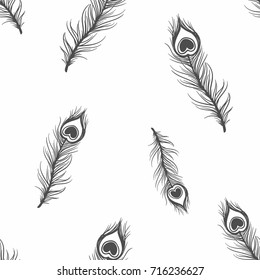 Peacock Feather Graphic Illustration Line Art Stock Vector (Royalty ...