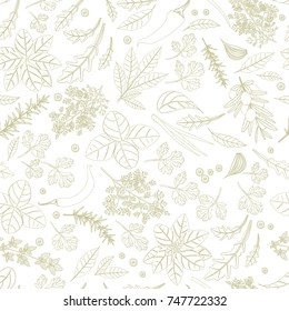 seamless with different herbs and spices for your design