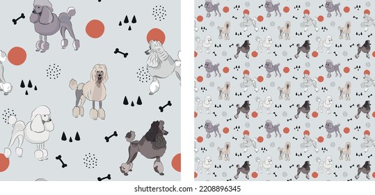 Seamless dog pattern, cute. Square format texture, t-shirt, poster, packaging, textile, socks, textile, fabric, decoration, wrapping paper. Trendy hand-drawn poodle dogs. Gift box pattern.