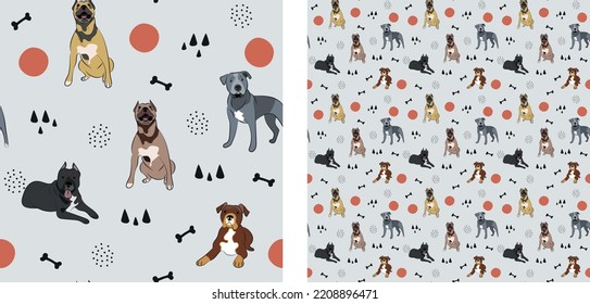 Seamless dog pattern, cute. Square format texture, t-shirt, poster, packaging, textile, socks, textile, fabric, decoration, wrapping paper. Trendy hand-drawn pit bull dogs. Gift box pattern.