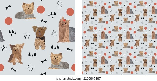 Seamless dog pattern, cute. Square format texture, t-shirt, poster, packaging, textile, socks, textile, fabric, decoration, wrapping paper. Trendy hand-drawn Yorkshire Terrier dogs. Gift box pattern.