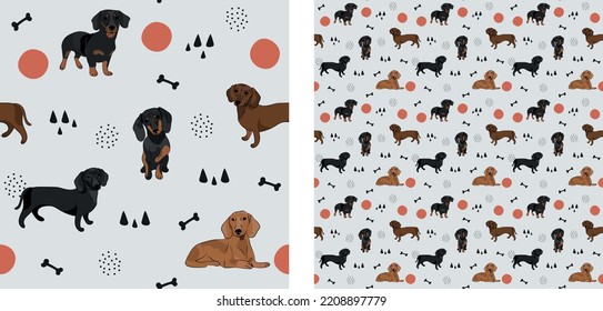 Seamless dog pattern, cute. Square format texture, t-shirt, poster, packaging, textile, socks, textile, fabric, decoration, wrapping paper. Trendy hand-drawn dachshund dogs. Gift box pattern.