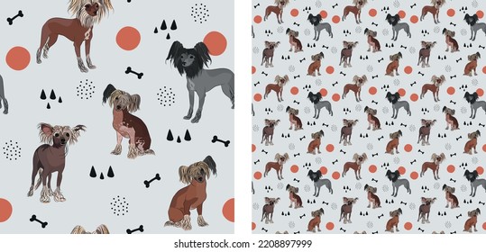 Seamless dog pattern, cute. Square format texture, t-shirt, poster, packaging, textile, socks, textile, fabric, decoration, wrapping paper. Trendy hand-drawn Chinese Crested dogs. Gift box pattern.