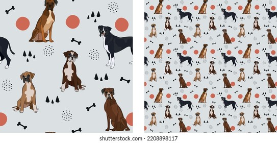 Seamless dog pattern, cute. Square format texture, t-shirt, poster, packaging, textile, socks, textile, fabric, decoration, wrapping paper. Trendy hand-drawn boxer dogs. Gift box pattern.