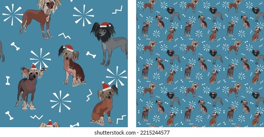 Seamless dog pattern, winter Christmas texture. Square format, t-shirt, poster, packaging, textile, socks, textile, fabric, decoration, wrapping paper. Trendy hand-drawn dogs, Chinese crested breed.