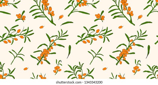 Seamless drawn Sea buckthorn pattern, color drawings of sea buckthorn, sea buckthorn berries and twigs background for textile, wallpapers 