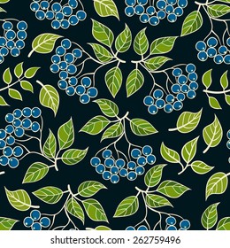 Seamless elderberr pattern. Vector illustrations, hand-drawn style. 