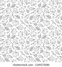 Seamless Endless Pattern of Autumn Leaves. Maple Rowan, Oak, Hawthorn, Birch. Red, Orange and Yellow. Realistic Hand Drawn High Quality Vector Illustration. Doodle Style.