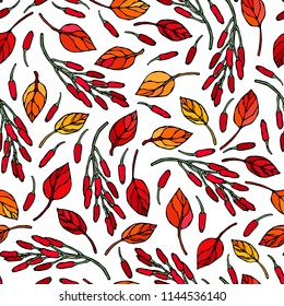 Seamless Endless Pattern of Barberry Leaves and Berries. Red, Orange and Yellow. Autumn or Fall Harvest Collection. Realistic Hand Drawn High Quality Vector Illustration. Doodle Style.