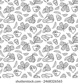Seamless endless pattern of chompu (apple of heaven). Illustration in hand drawn style. Can be used to create packaging, covers, backgrounds, cards, textiles, clothing, souvenirs and much more.