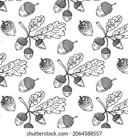 Seamless Endless Pattern of Oak Leaves and Acorns. Black and White. Autumn or Fall Harvest Collection. Realistic Hand Drawn High Quality Vector Illustration. Doodle Style