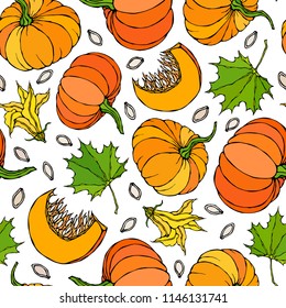Seamless Endless Pattern of Pumpkin and Maple Leaves. Orange Pumpkins, Flower, Seeds. Autumn or Fall Vegetable Harvest Collection. Realistic Hand Drawn High Quality Vector Illustration. Doodle Style.