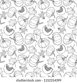 Seamless Endless Pattern of Pumpkin and Maple Leaves. Orange Pumpkins, Flower, Seeds. Autumn or Fall Vegetable Harvest Collection. Realistic Hand Drawn High Quality Vector Illustration. Doodle Style.